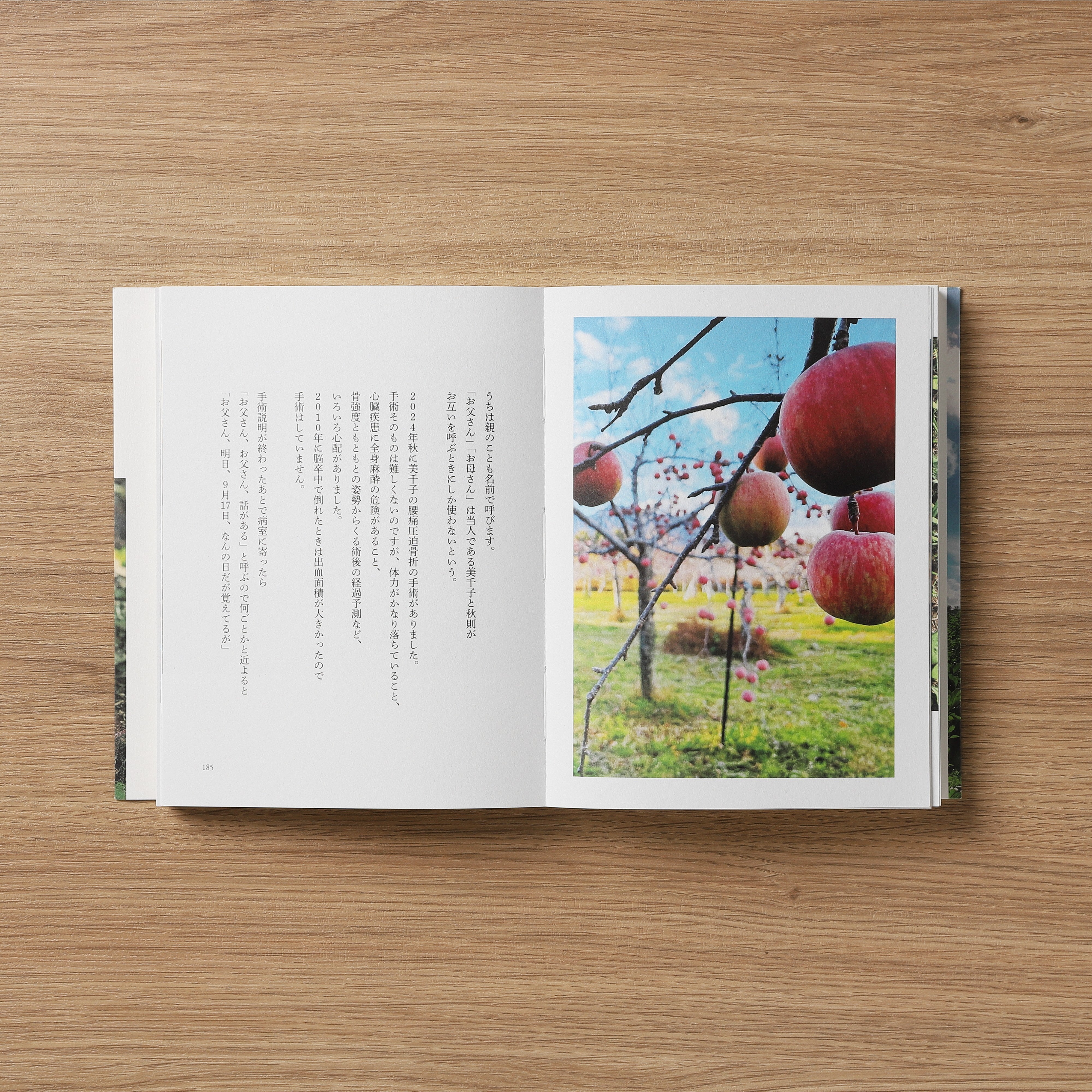 書籍「ある、りんご園の一年」【写真・文】木村江利 – 木村ワールド